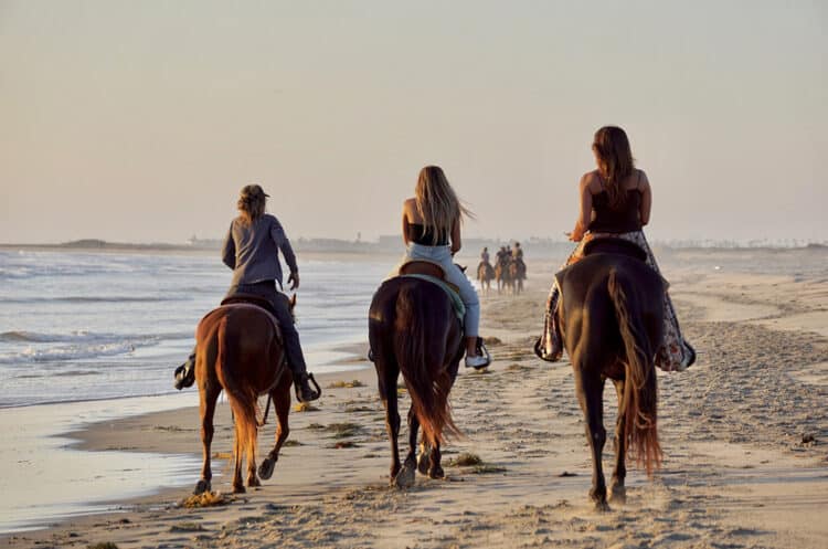 Balade à cheval sur la plage du Touquet-Paris-Plage