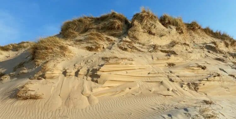 Dunes de la Slack entre Ambleteuse et Wimereux