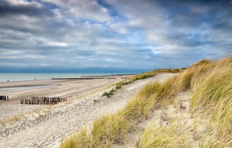 Plage des Hauts-de-France